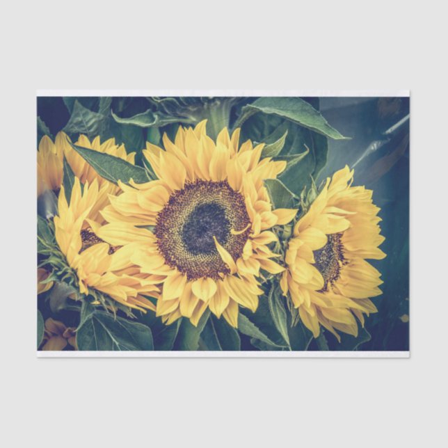 Sunflowers Tissue Paper (Front)