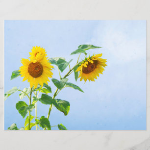 Sunflowers Under Blue Summer Sky