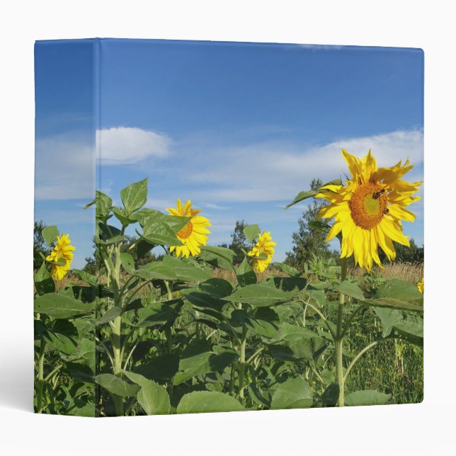 Sunflowers under bluesky binder (Front/Spine)