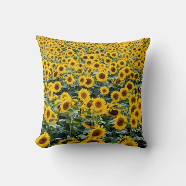 Sunflowers, Wisconsin field Throw Pillow (Front)