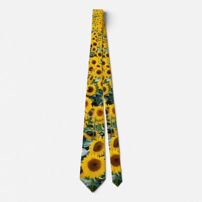 Sunflowers, Wisconsin field Tie (Front)