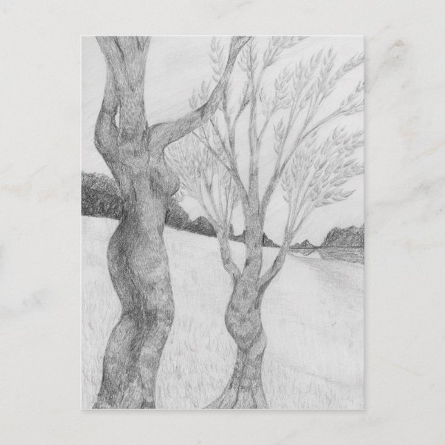 SunGathering Postcard (Front)