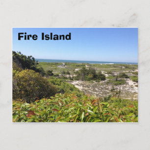 Sunken Forrest, Fire Island, NY Postcard