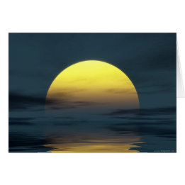 sunlight