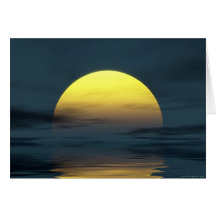sunlight