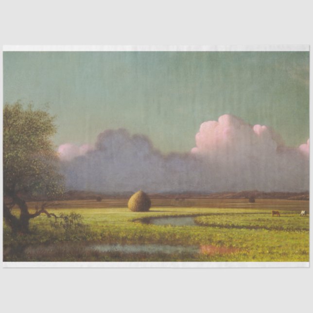 Sunlight and Shadow: The Newbury Marshes Tissue Paper (Front)