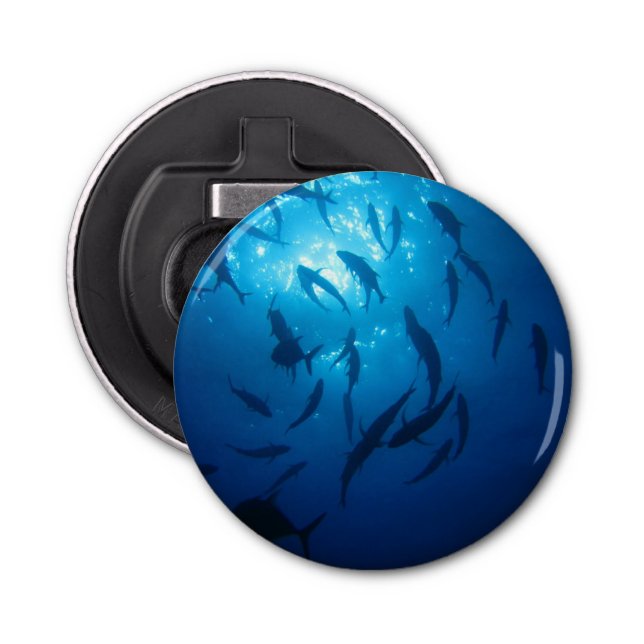 Sunlight and Shoal Under the Sea Bottle Opener (Front)