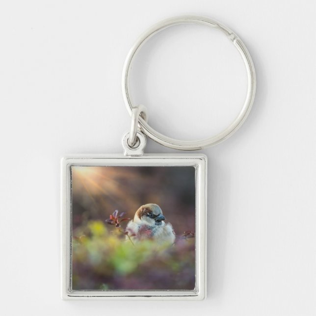 Sunlight Bathing Finch Keychain (Front)