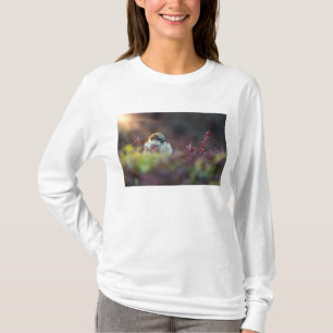 Sunlight Bathing Finch T-Shirt