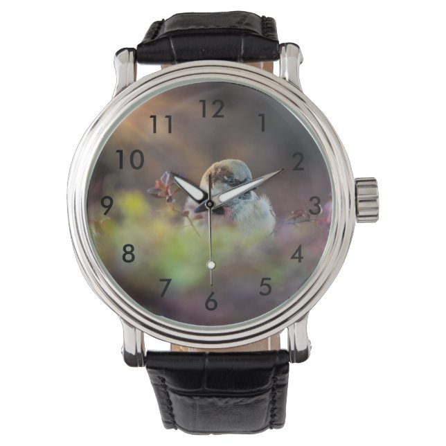 Sunlight Bathing Finch Watch (Front)