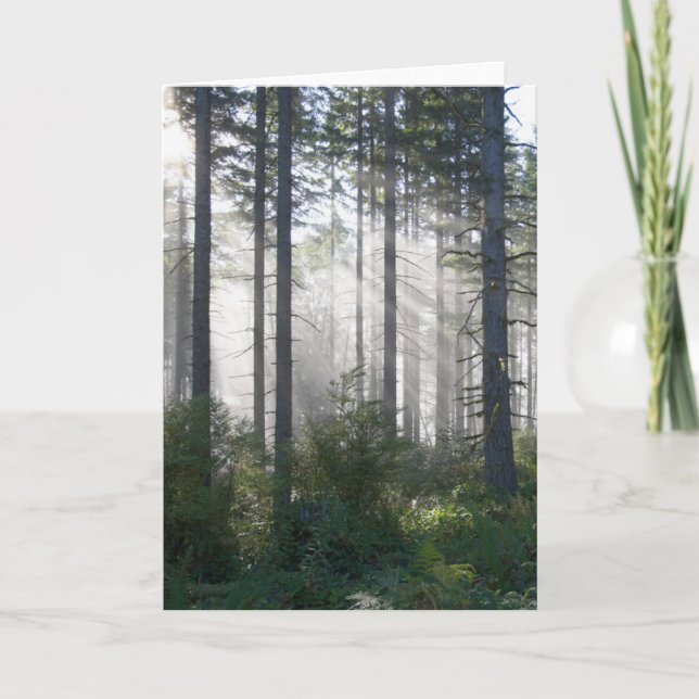 Sunlight Breaking Through a Misty Forest Card (Front)