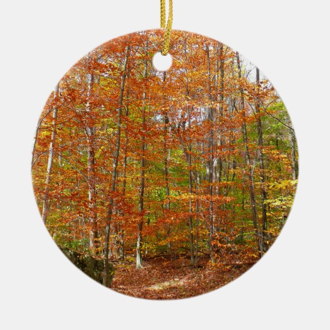 Sunlight Dappled Fall Trail at Laurel Hill Park Ceramic Ornament (Front)