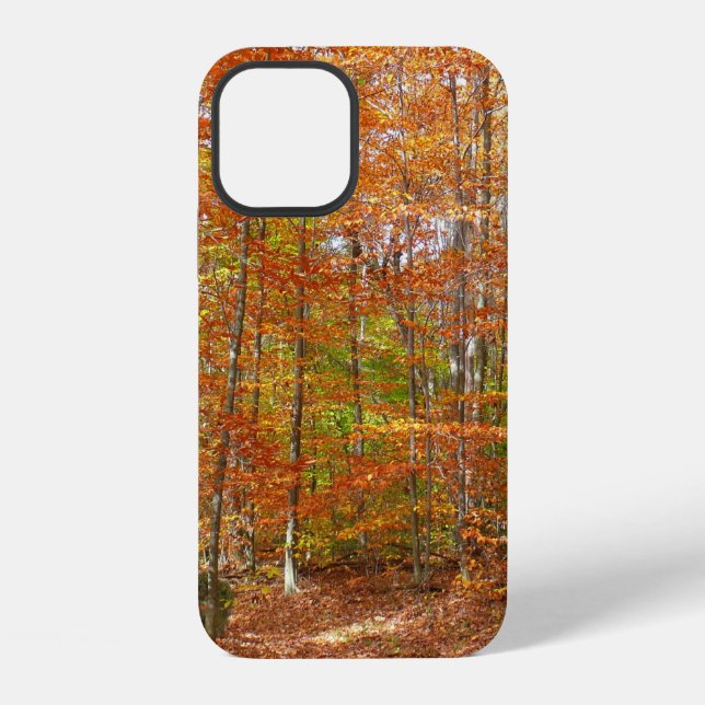 Sunlight Dappled Fall Trail at Laurel Hill Park iPhone Case (Back)
