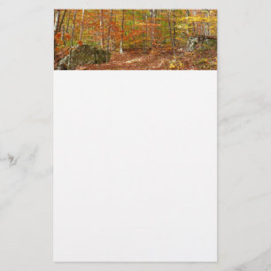 Sunlight Dappled Fall Trail at Laurel Hill Park Stationery