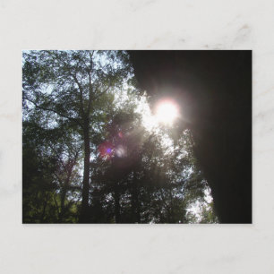 Sunlight Filtering Through at Old Man's Cave, Ohio Postcard