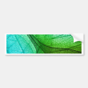 Sunlight Filtering Through Transparent Leaves Bumper Sticker