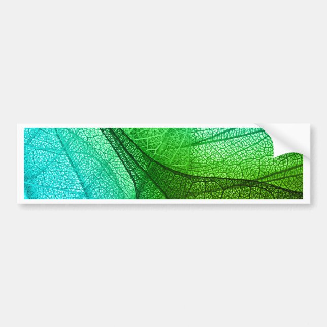 Sunlight Filtering Through Transparent Leaves Bumper Sticker (Front)