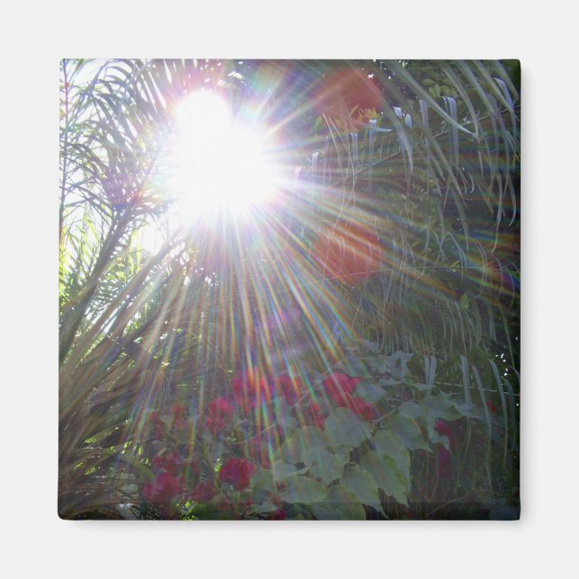 Sunlight Garden Magnet (Front)