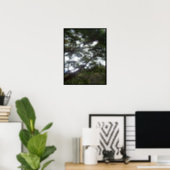 Sunlight in the Trees Poster (Home Office)