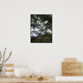 Sunlight in the Trees Poster (Kitchen)