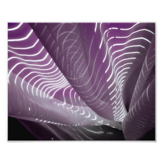 Sunlight on Sheers Photo Print