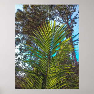 Sunlight on the Palm Fronds Poster Paper