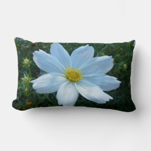 Sunlight on White Cosmos Flower Floral Lumbar Pillow