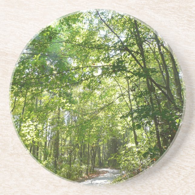 Sunlight on Wooded Path at Centennial Park Coaster (Front)
