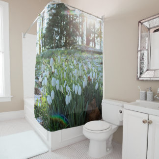 Sunlight Peeks at Snowdrops in Light Snow -