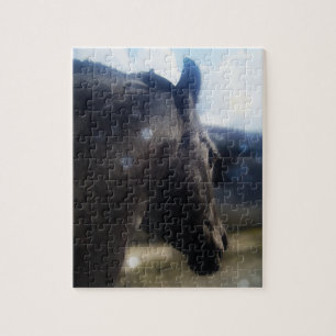 Sunlight - Photo Puzzle