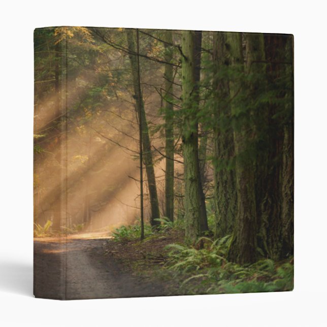 Sunlight Shining Through a Forest Binder (Front/Spine)
