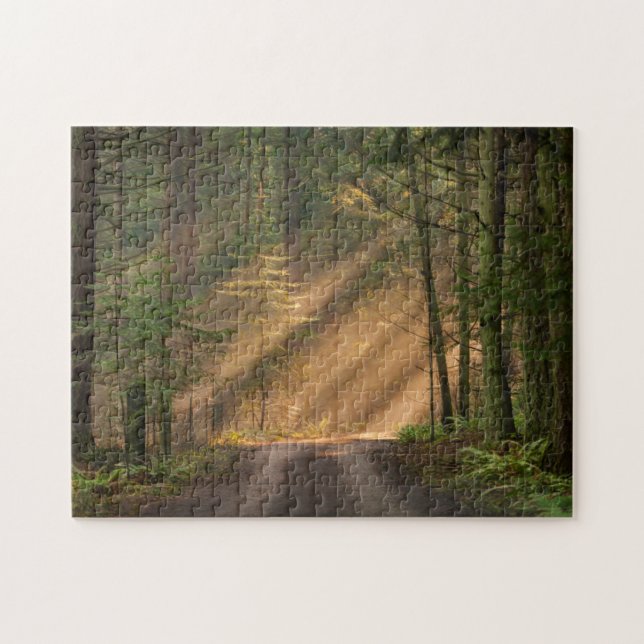 Sunlight Shining Through a Forest Jigsaw Puzzle (Horizontal)