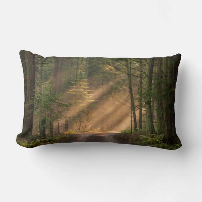 Sunlight Shining Through a Forest Lumbar Pillow (Front)