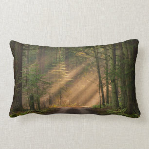 Sunlight Shining Through a Forest Lumbar Pillow