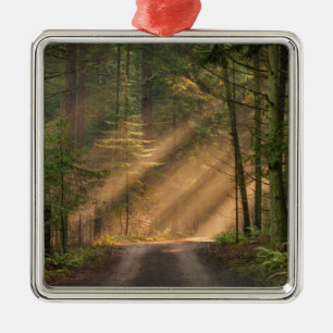 Sunlight Shining Through a Forest Metal Ornament