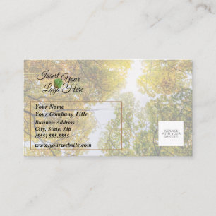 Sunlight Through Autumn Sugar Maples Business Card