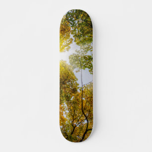 Sunlight Through Autumn Sugar Maples Skateboard