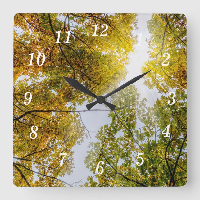 Sunlight Through Autumn Sugar Maples Wall Clock (Front)