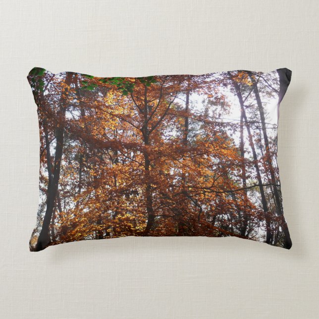 Sunlight Through Fall Tree at Greenbelt Accent Pillow (Front)
