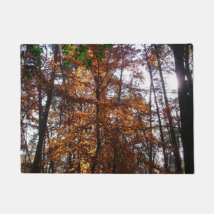 Sunlight Through Fall Tree at Greenbelt Doormat