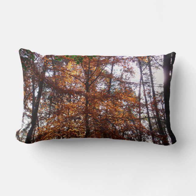 Sunlight Through Fall Tree at Greenbelt Lumbar Pillow (Front)