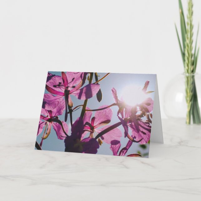 Sunlight Through Flowers Greeting Card (Front)