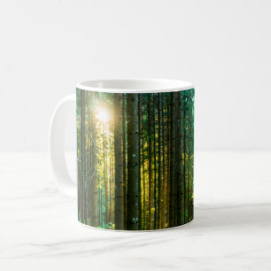 Sunlight Through Forest Trees Coffee Mug