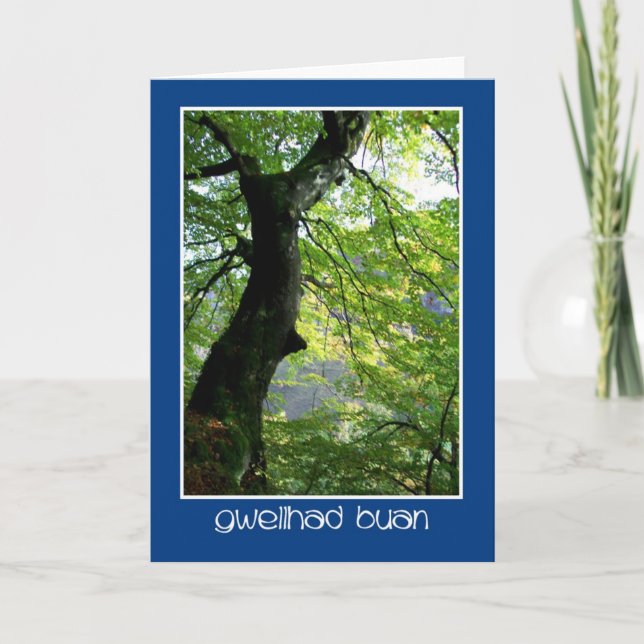 Sunlight Through Leaves: Get Well Card: Welsh Card (Front)