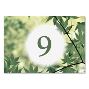 Sunlight Through Maple Leaves Custom Table Number