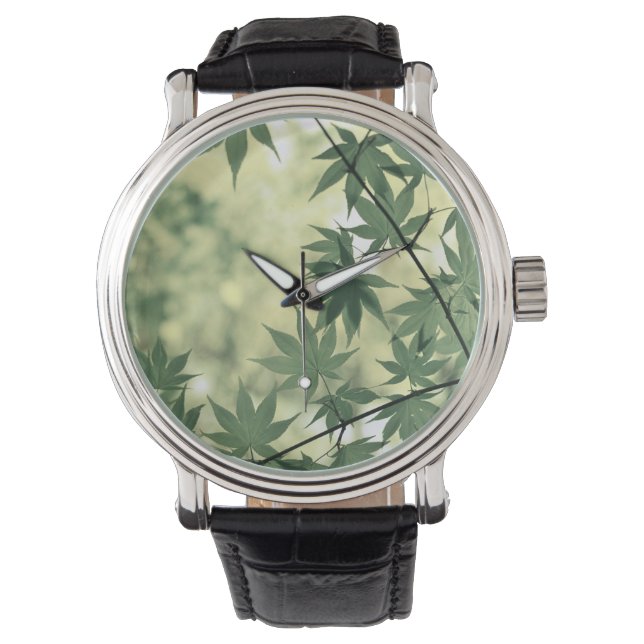 Sunlight Through Maple Leaves Watch (Front)