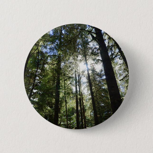 Sunlight Through Pine Trees 2 Inch Round Button (Front)