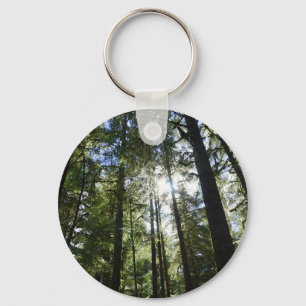 Sunlight Through Pine Trees Keychain