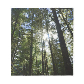 Sunlight Through Pine Trees Notepad