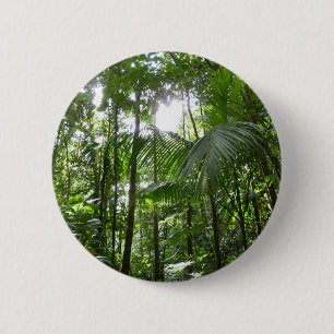 Sunlight Through Rainforest Canopy Tropical Green 2 Inch Round Button